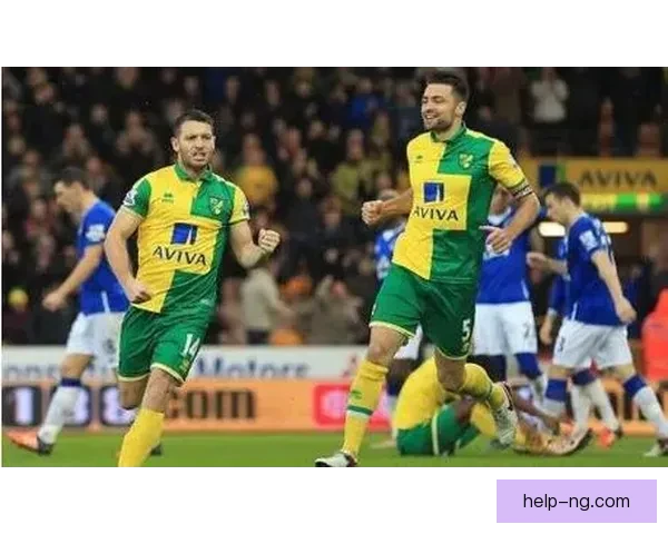 从英冠到英超沉浮看诺维奇俱乐部的坚守与重生之路长期竞争力的打造探索