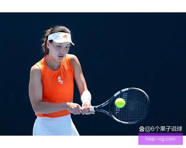 张择逆转成功晋级澳网男单第二轮 创职业生涯最佳表现