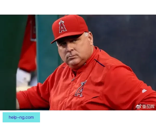 国王队崛起之路：年轻天才带领萨克拉门托重返季后赛舞台